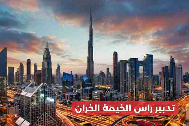 تدبير راس الخيمة النخيل